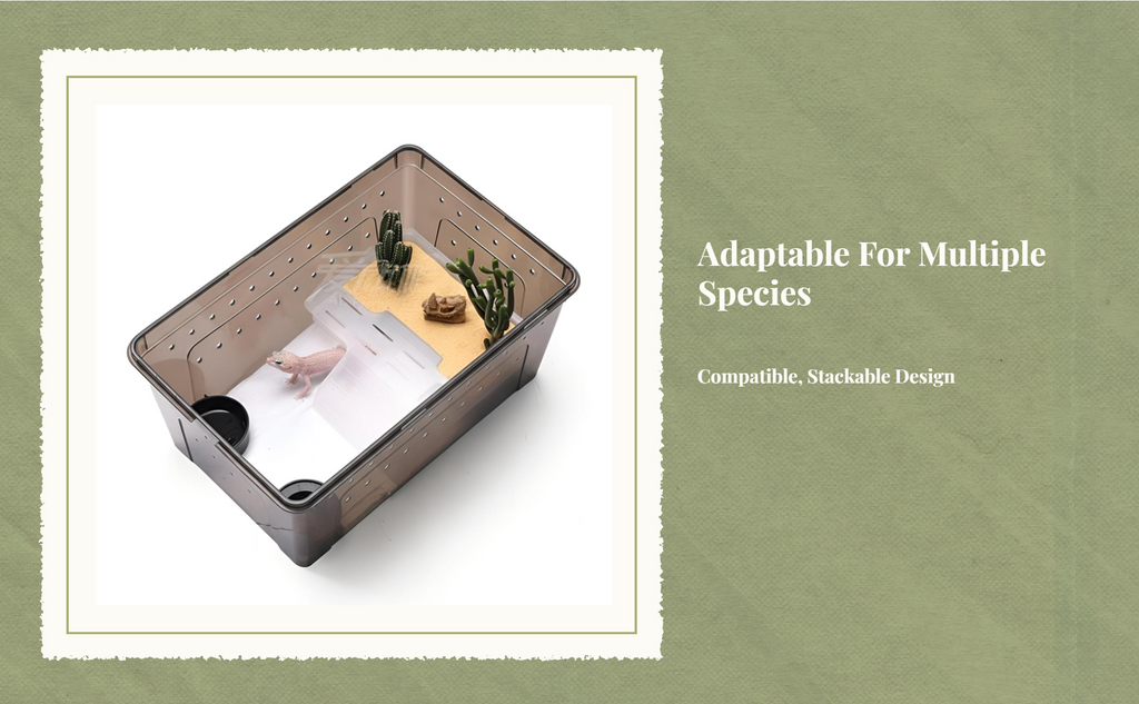 Easy-clean amphibian terrarium