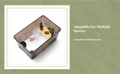 Easy-clean amphibian terrarium