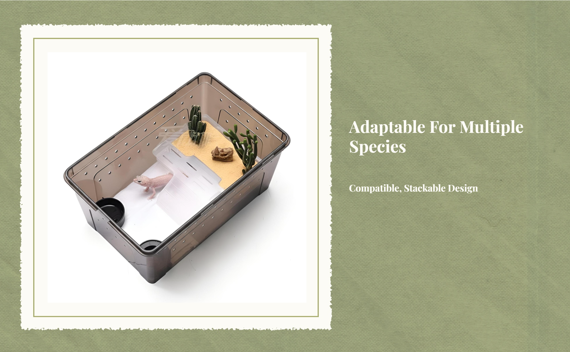 Easy-clean amphibian terrarium