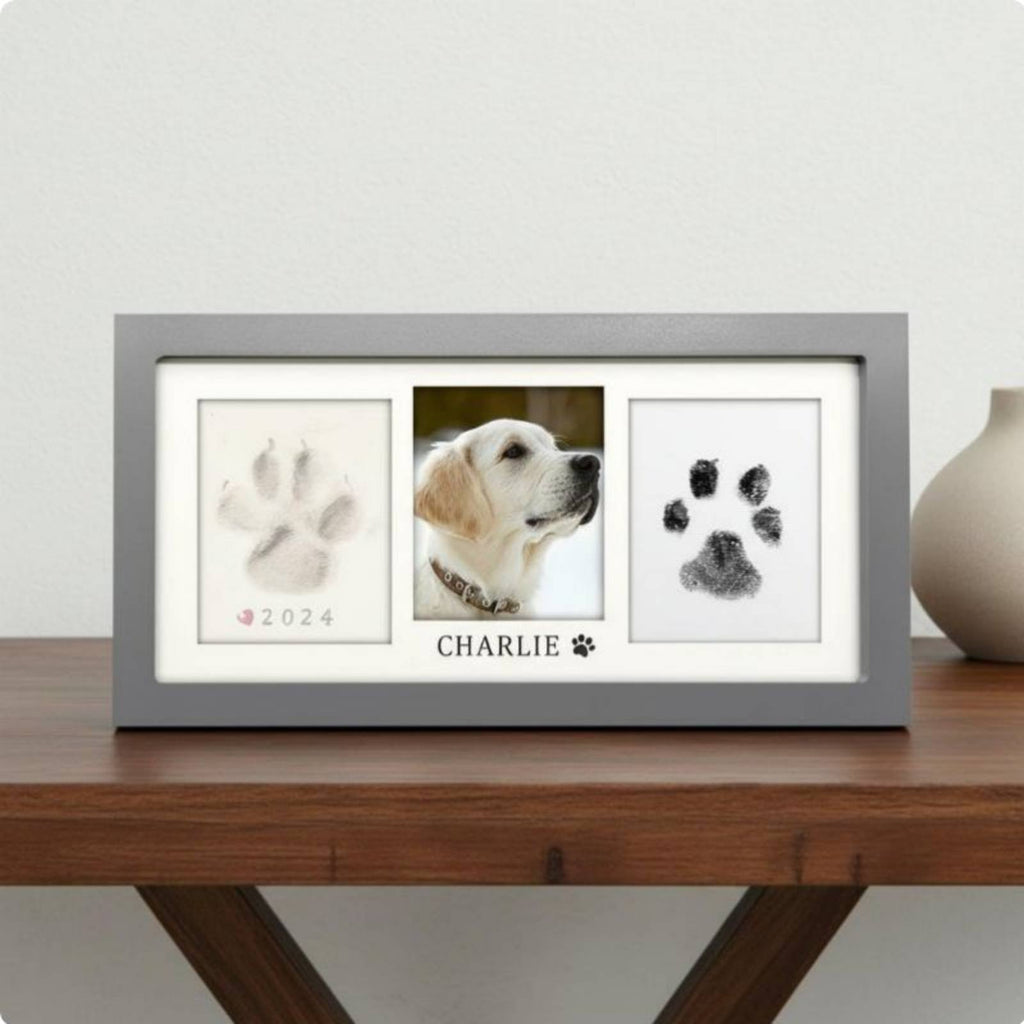 Pet Paw Print Frame Kit Clean-Press Ink Pad for Office Desk, New Puppy Owners
