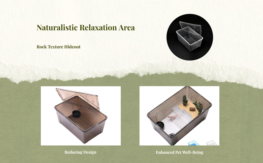 Easy-clean amphibian terrarium
