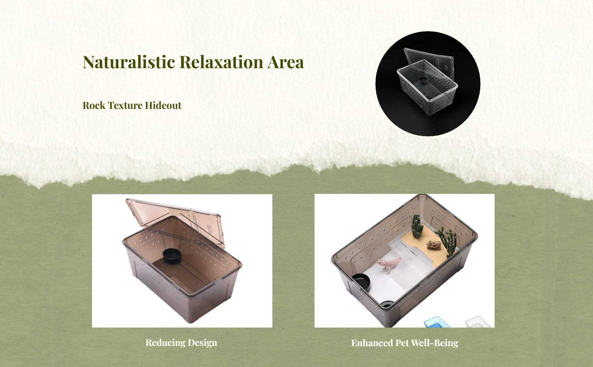 Easy-clean amphibian terrarium