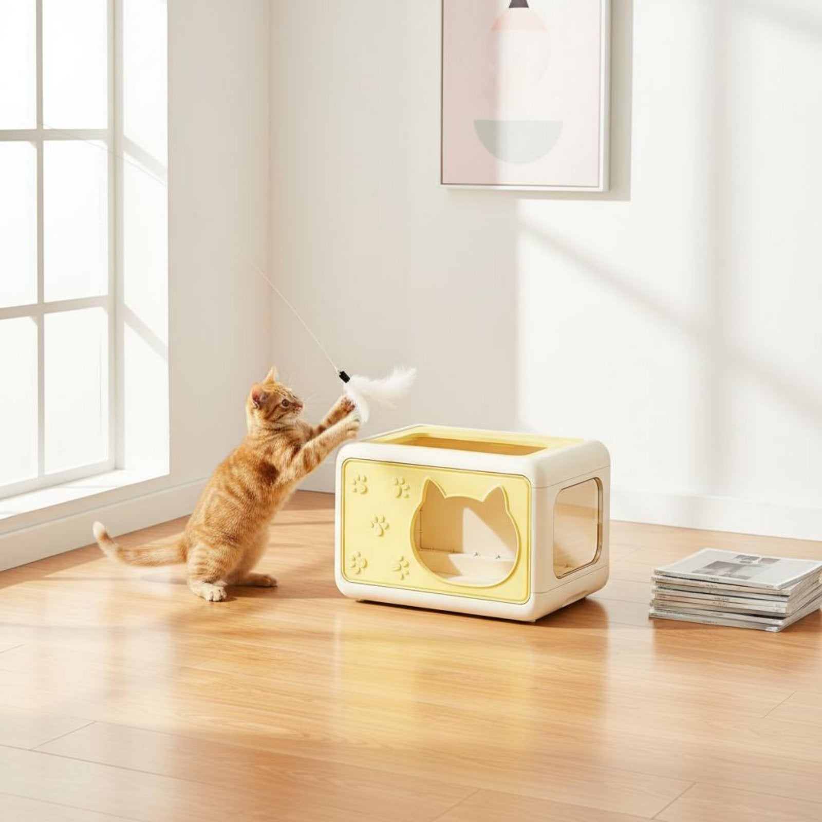 Enclosed Pet House Semi Closed Pet Shelter Large Interior Space