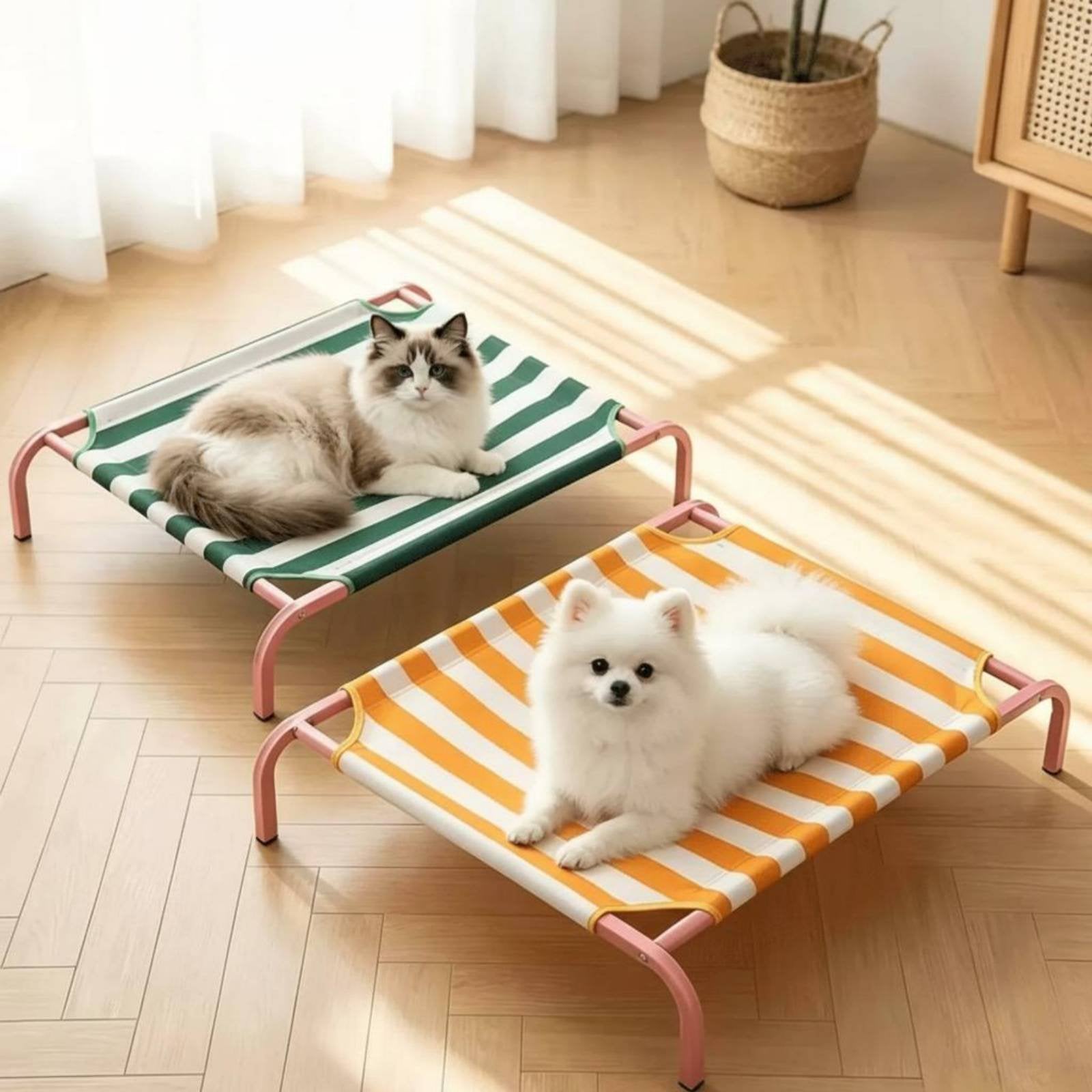 Breathable Raised Dog Bed Long-Lasting Portable Pet Cot Easy to Clean for Summer