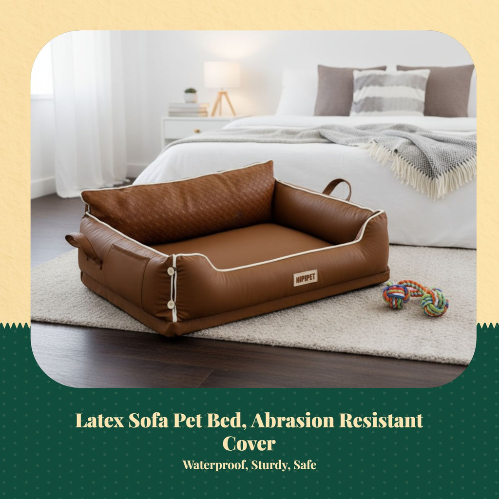 Orthopedic latex dog bed, removable cover