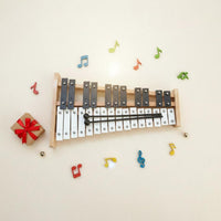 27 Note Glockenspiel Christmas Gift 27 Key Metallophone for Beginners, Kids