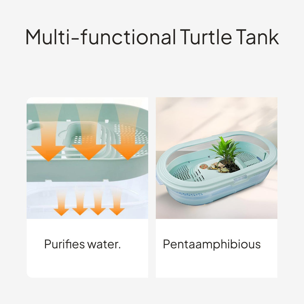 Large turtle habitat, easy-clean