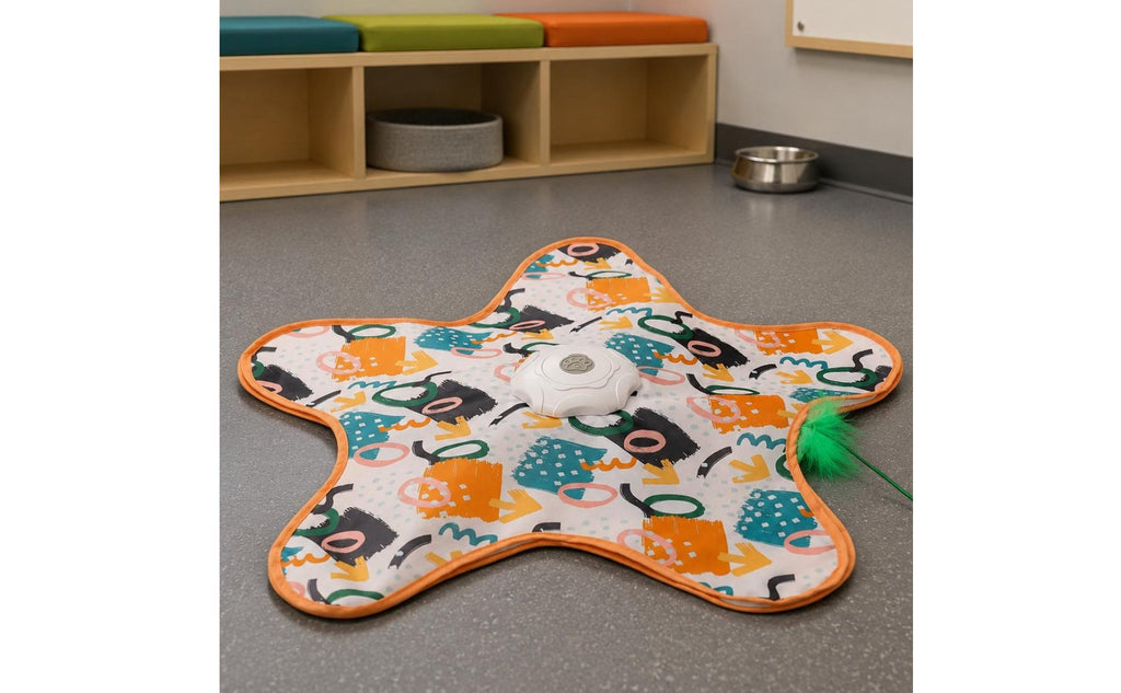 Hide and Seek Pet Toy Interactive Pet Toy Mental Stimulation for Cats