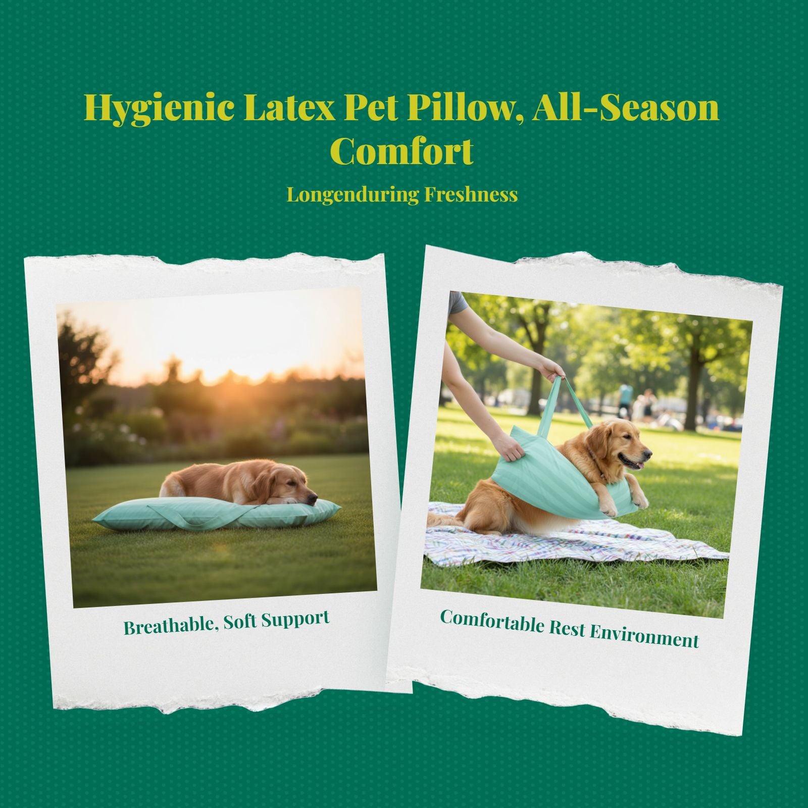 Waterproof Calming Dog Neck Pillow, Removable, Easy Clean