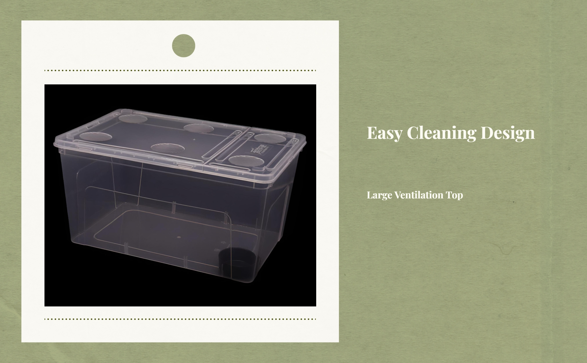 Easy-clean amphibian terrarium