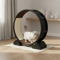 Cat Running Wheel Stable Base Cat Exercise Wheel Lock Pet Furniture for Indoor Cats