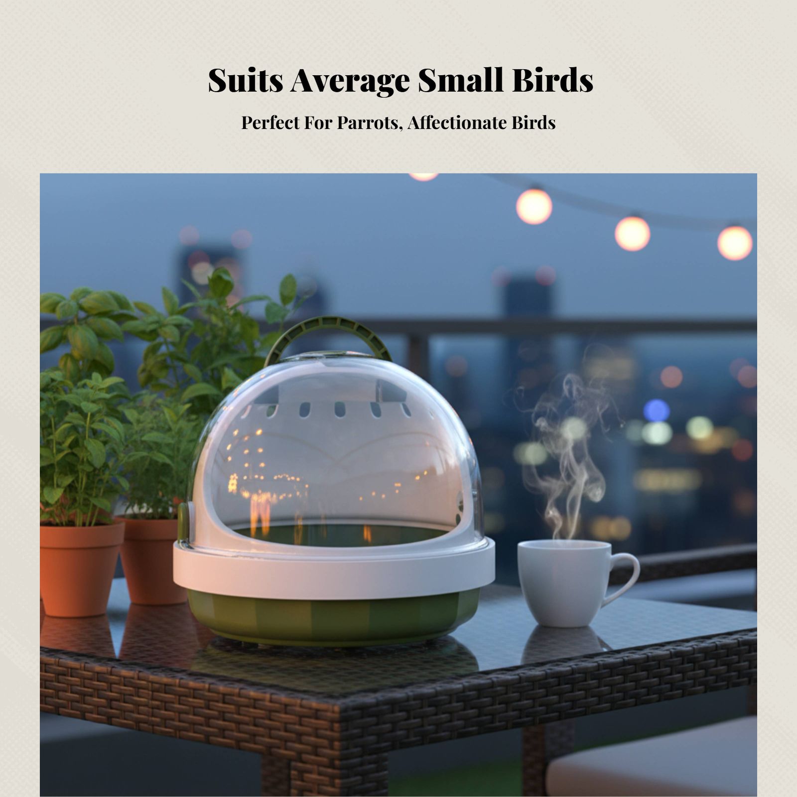 Handheld bird enclosure, Parrot travel carrier, Small, Escape-proof, Outdoor, Mini