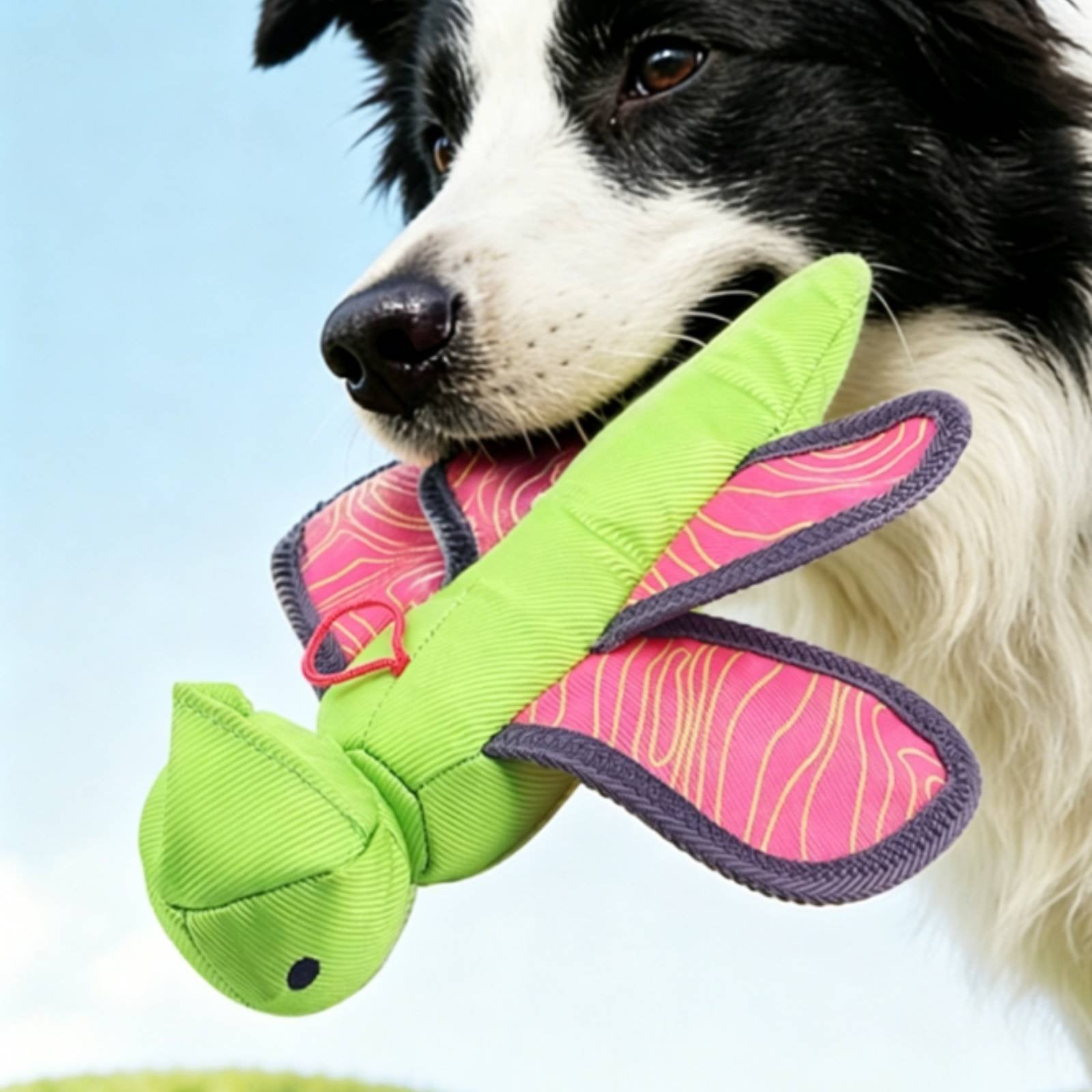 Squeaky Dog Launcher Toy Outdoor Play Dog Fetch Launcher Launches 3x Farther