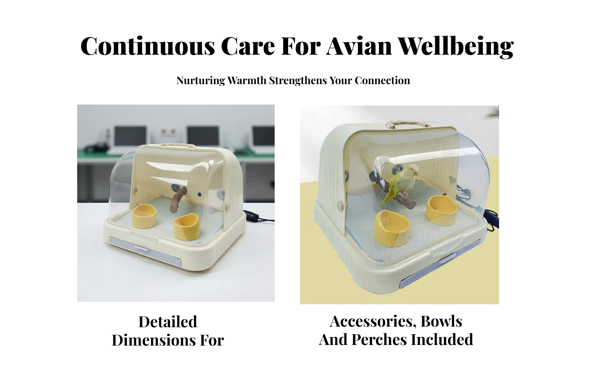 Pet Incubator, Thermostat, Timer, Brooder, Newborn Animals