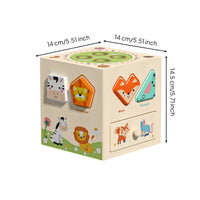 Educational Activity Cube Fine Motor Skills Wooden Activity Cube Educational for Children