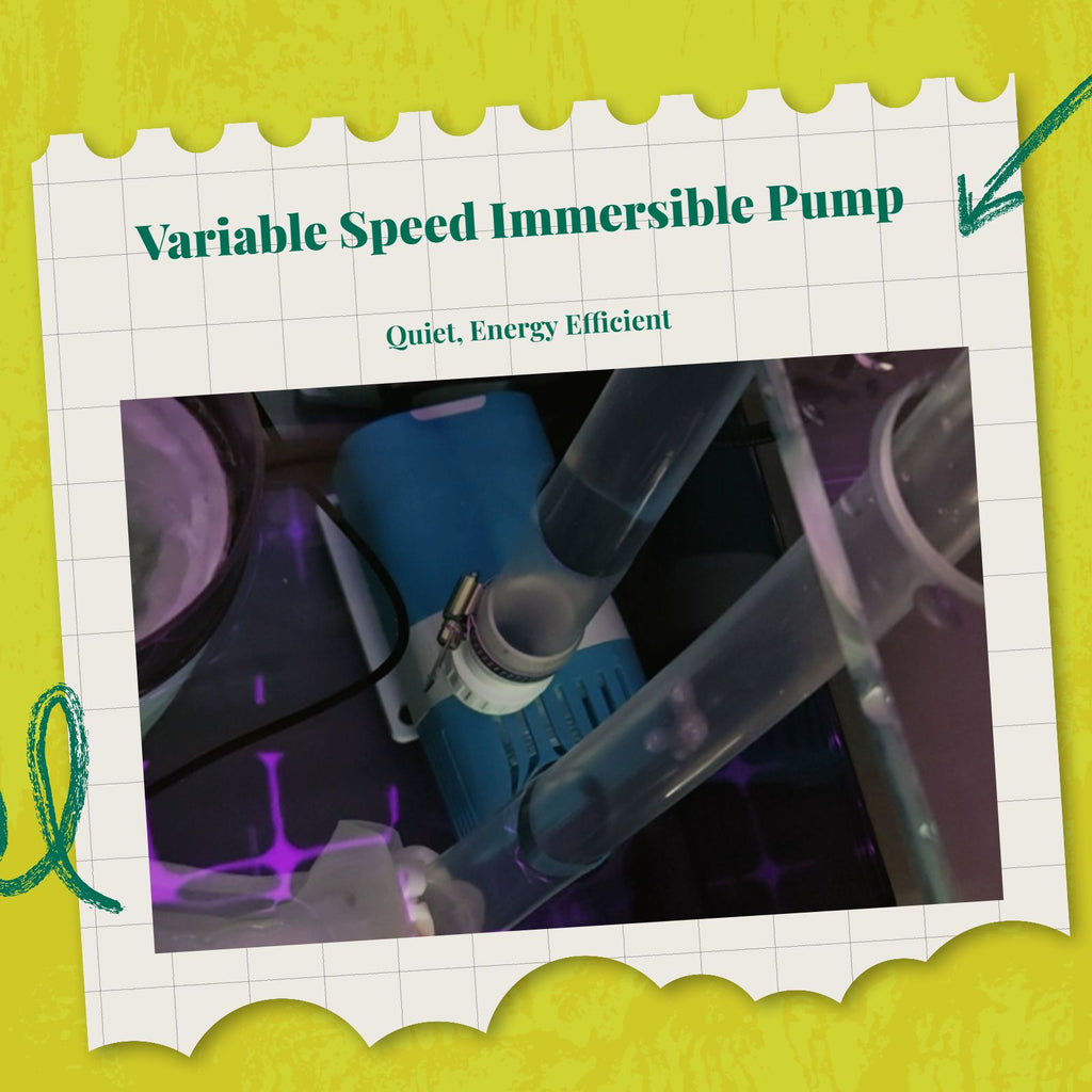 High-power quiet pump for tanks