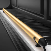 Pianos Humidity Control Tube Constant Temperature Automatic Dampness Reducer Rod Silent Music Instrument Care for Home Practice