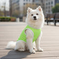Lightweight Warm-Weather Pet Shirt Quick-fast dry Small Dog Sun Protection Shirt Pullover Design Breathable Dog Tank Top for Outdoors