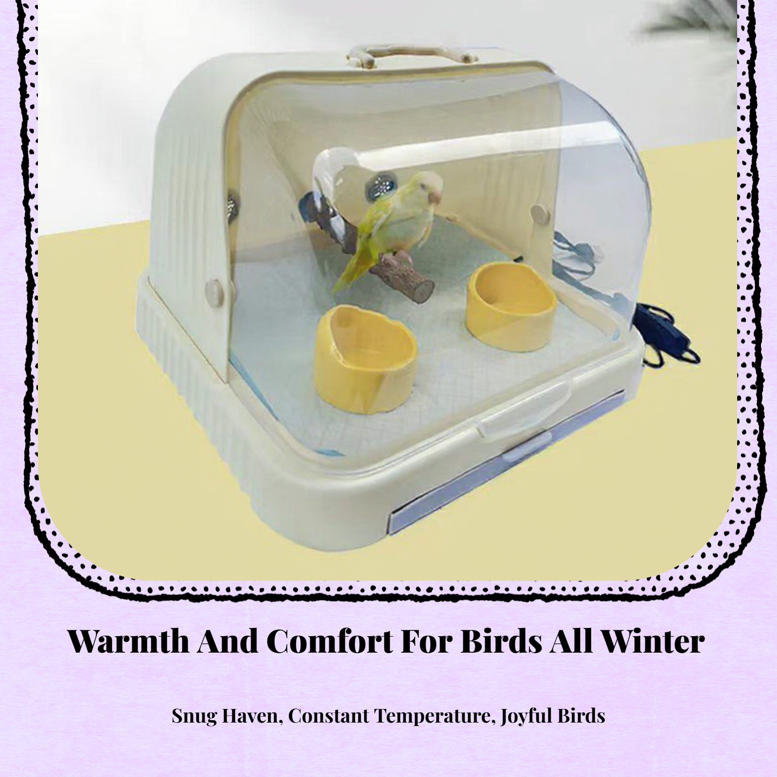 Pet Incubator, Thermostat, Timer, Brooder, Newborn Animals