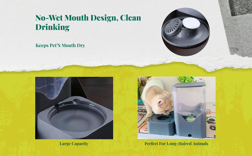 Pressure-fed pet water bowl, no power