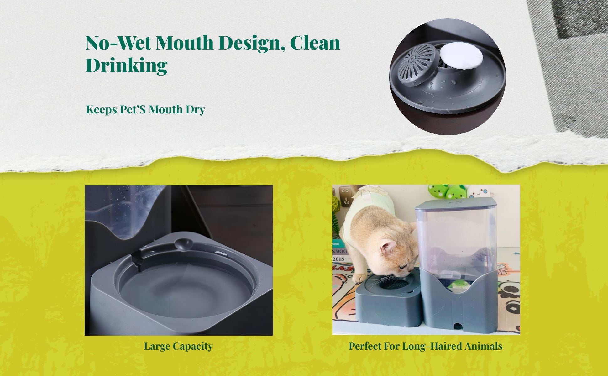 Pressure-fed pet water bowl, no power