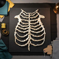 Adjustable Plastic Skeleton Rib Frame Vest Flexible Rib Frame Costume Piece Easy to Wear Skeleton Torso Costume Lightweight for Cosplayers, Adults, Women, Cosplay Events, Stage Performances