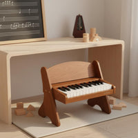 25 Key Toy Piano Birthday Gift Wooden Mini Piano for Beginners, Toddlers