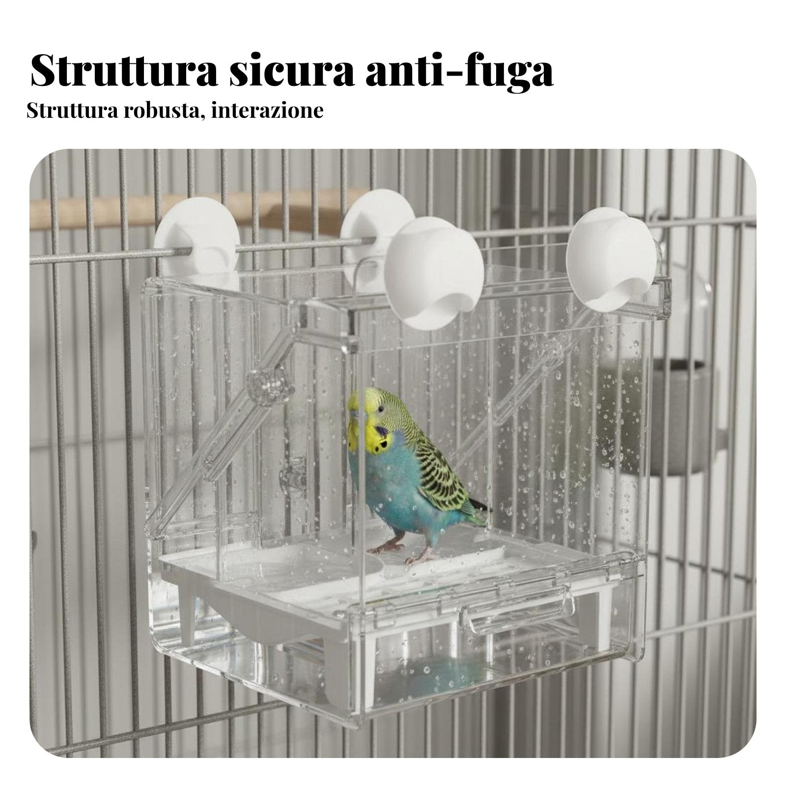 Multi-Functional Bird Feeder Bath Anti-Splash Parrot Shower Box Multipurpose Use