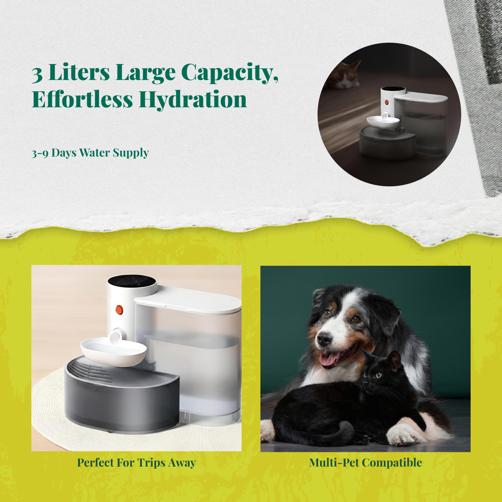 Large filtered pet water dispenser
