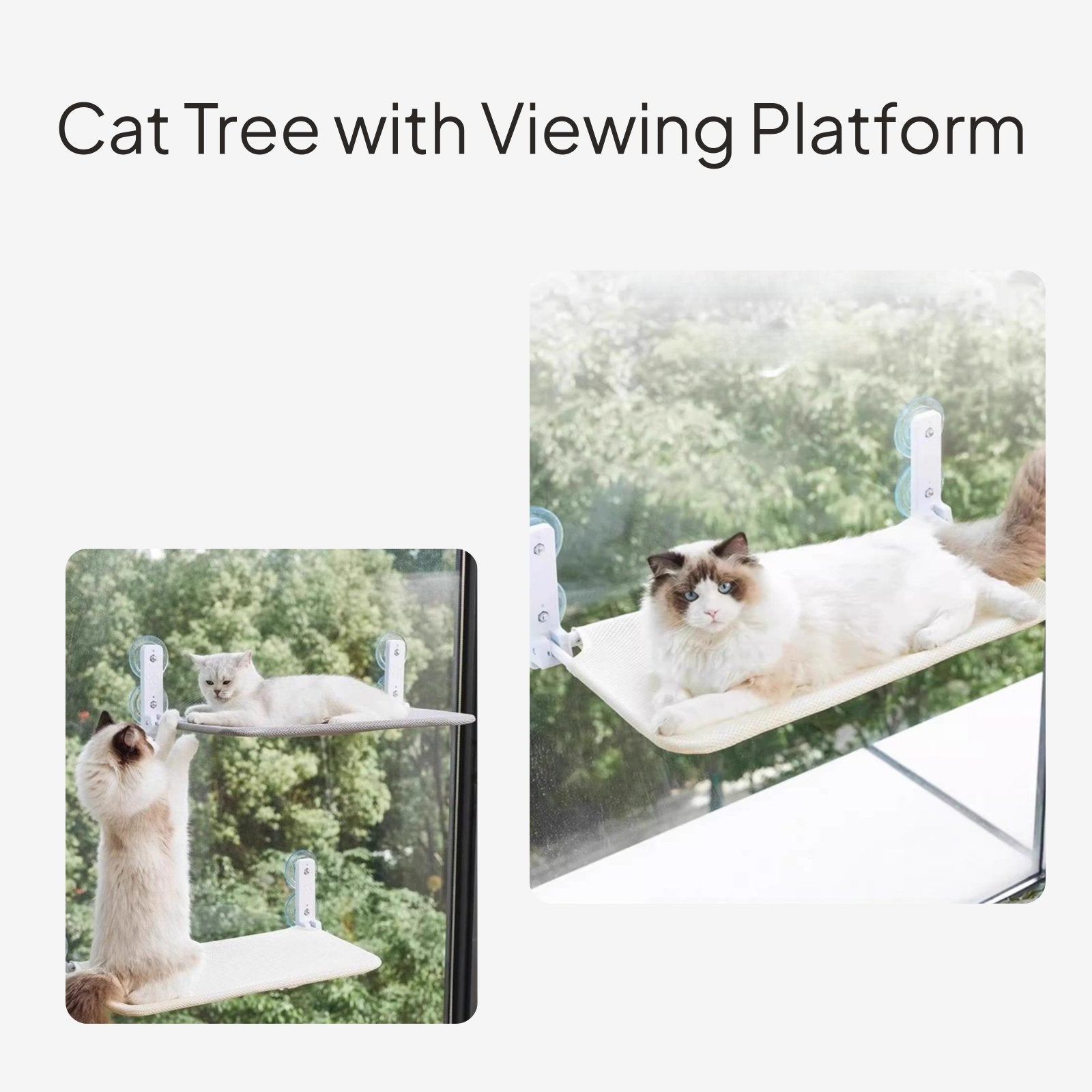Cat Resting Spot, Suction Holder Bed, Foldable Window Perch