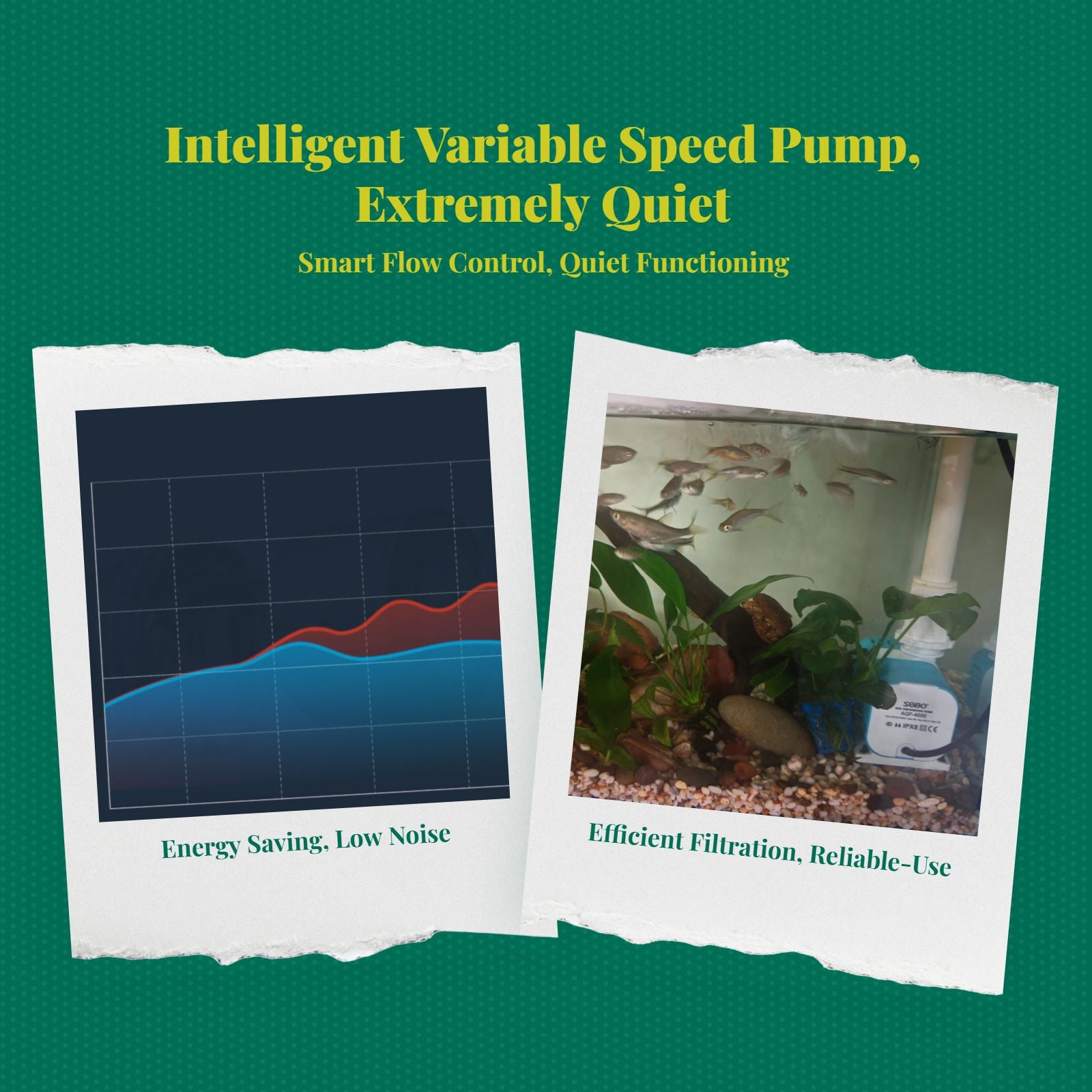 High-power quiet pump for tanks