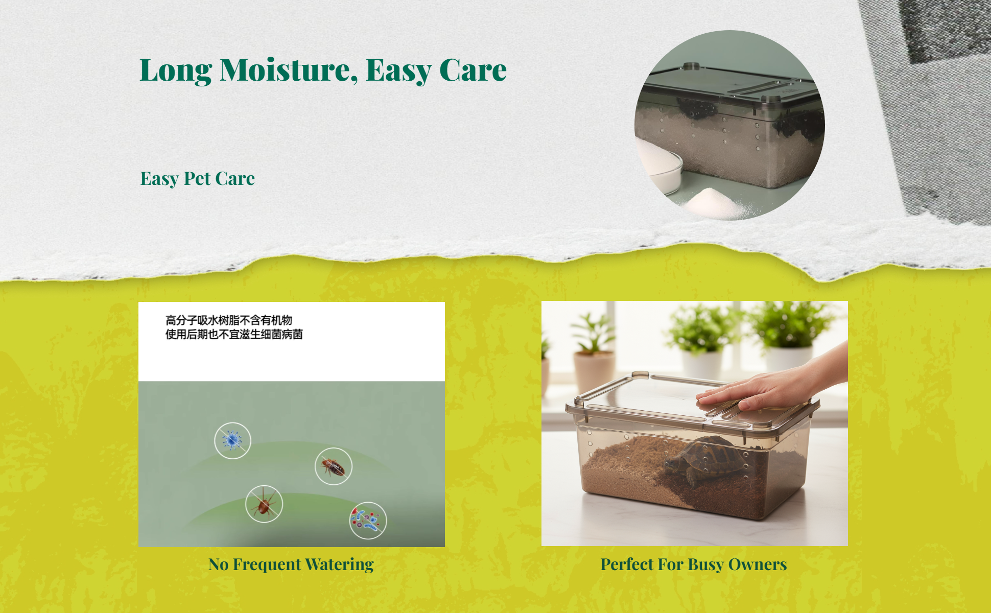 Turtle hibernation kit: resin base