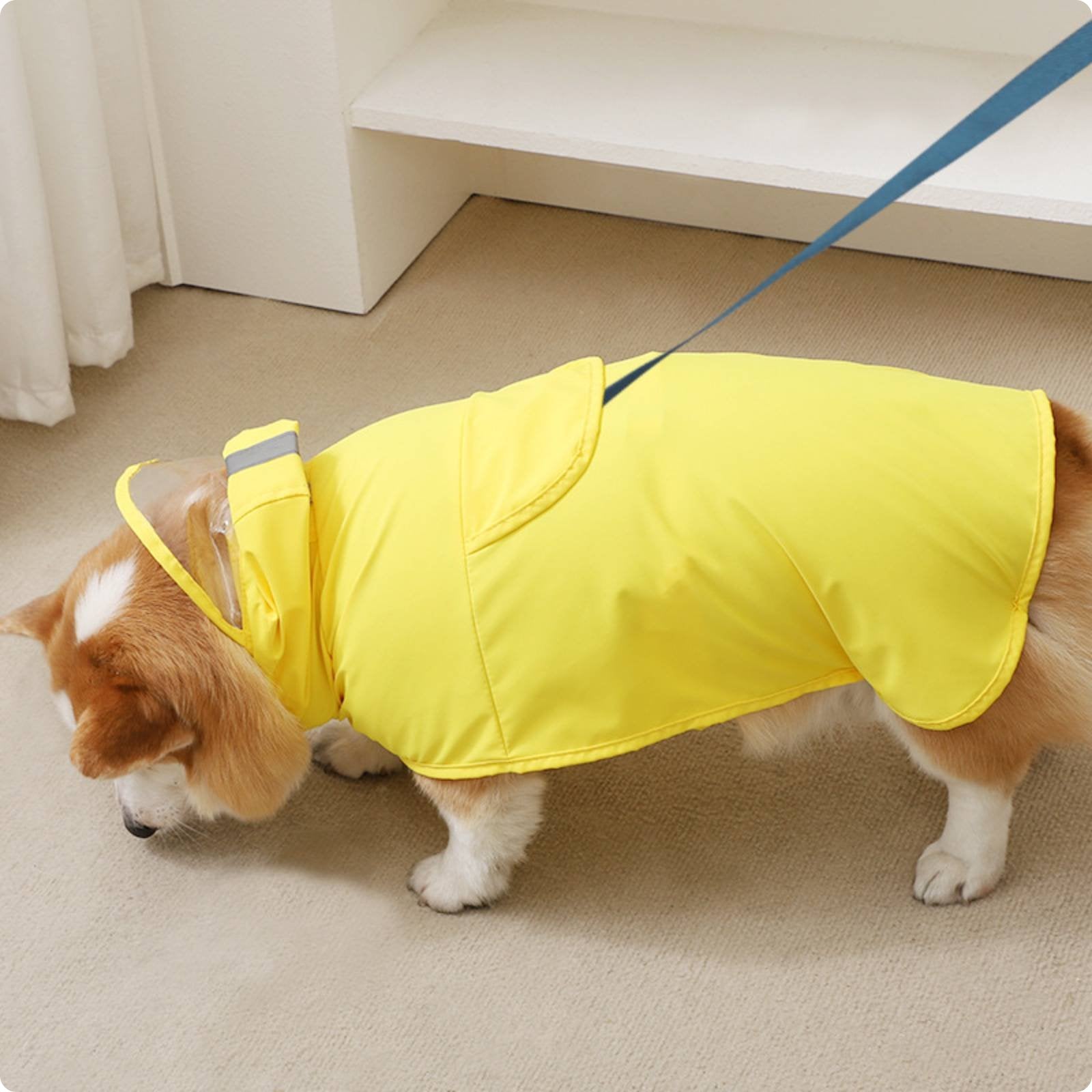 Clear Hood Dog Raincoat Portable Waterproof Dog Slicker Adjustable Straps