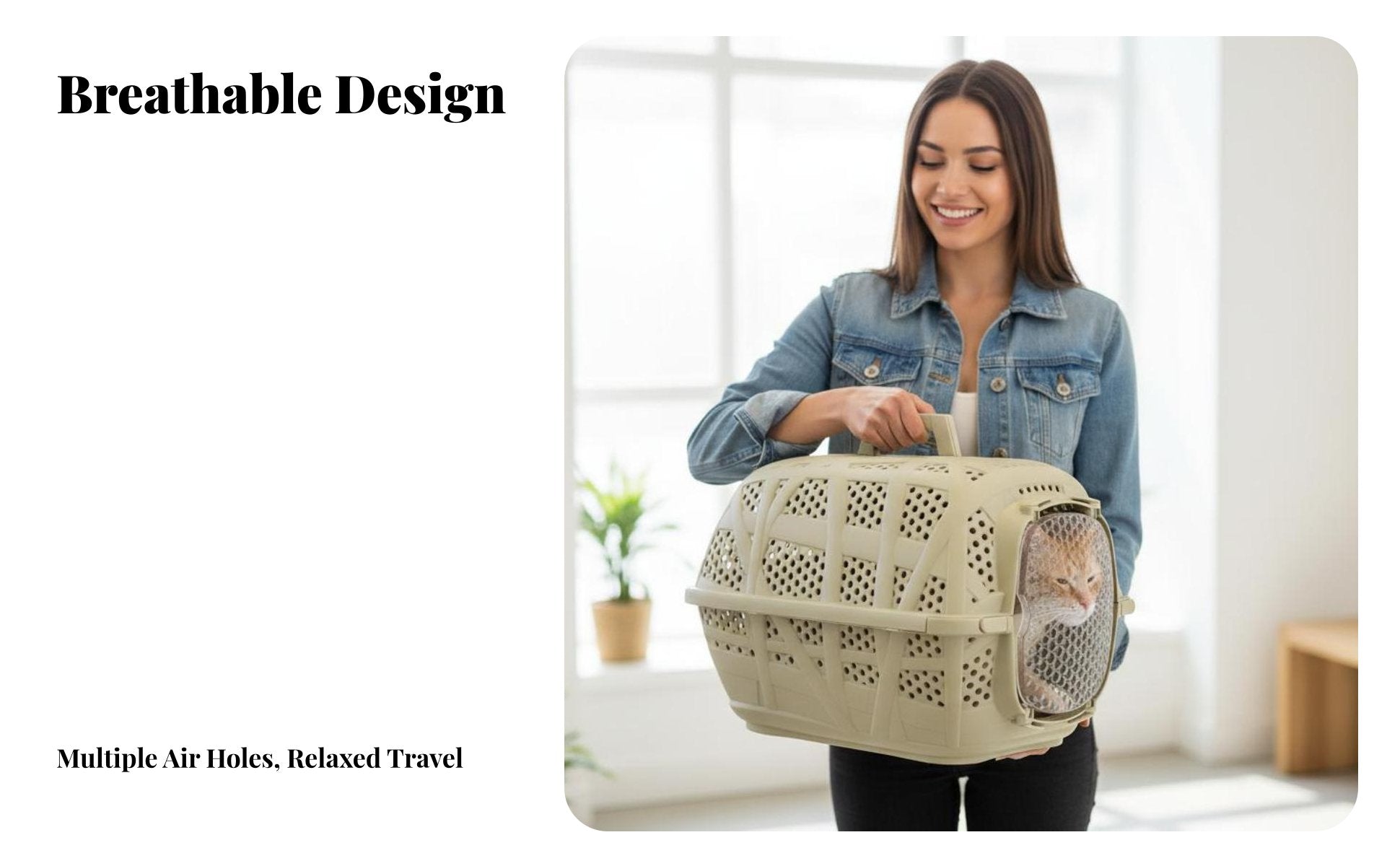 Travel Pet Crate Lightweight Ventilated Transport Box Sturdy for Cat Owners