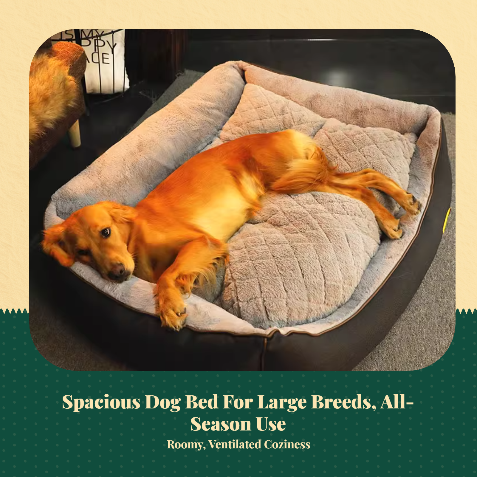 Orthopedic Dog Bed, Washable, Removable Cover, All Seasons