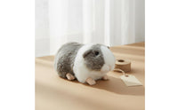 Guinea Pig Stuffed Creature Cuddly Guinea Pig Stuffed Toy Realistic Shape