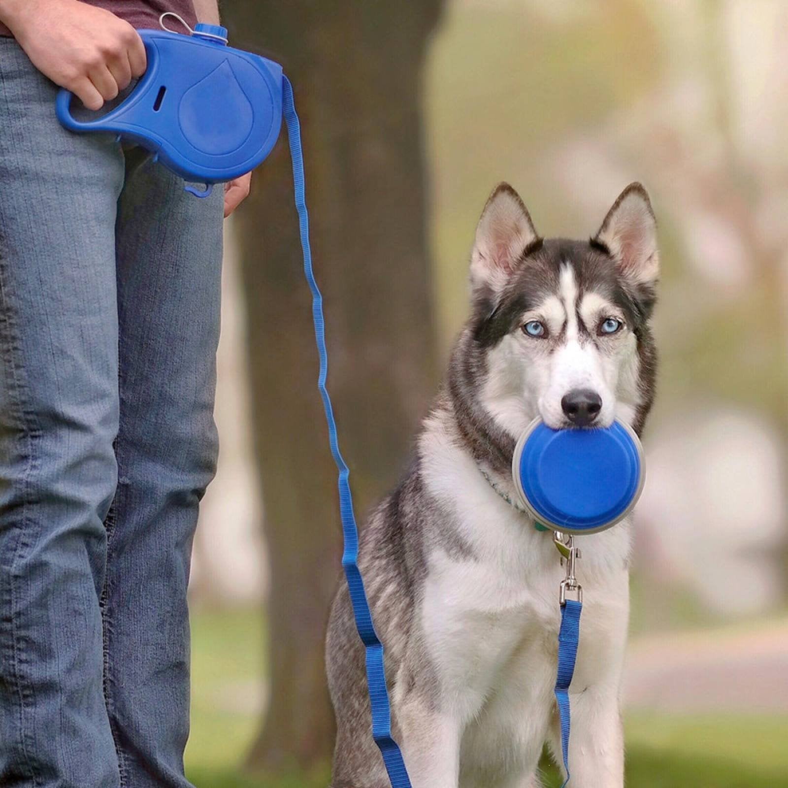 Dog Bottle Leash Combo Lightweight Dog Walking Kit Gear Resistant Pet Accessory for Outdoor
