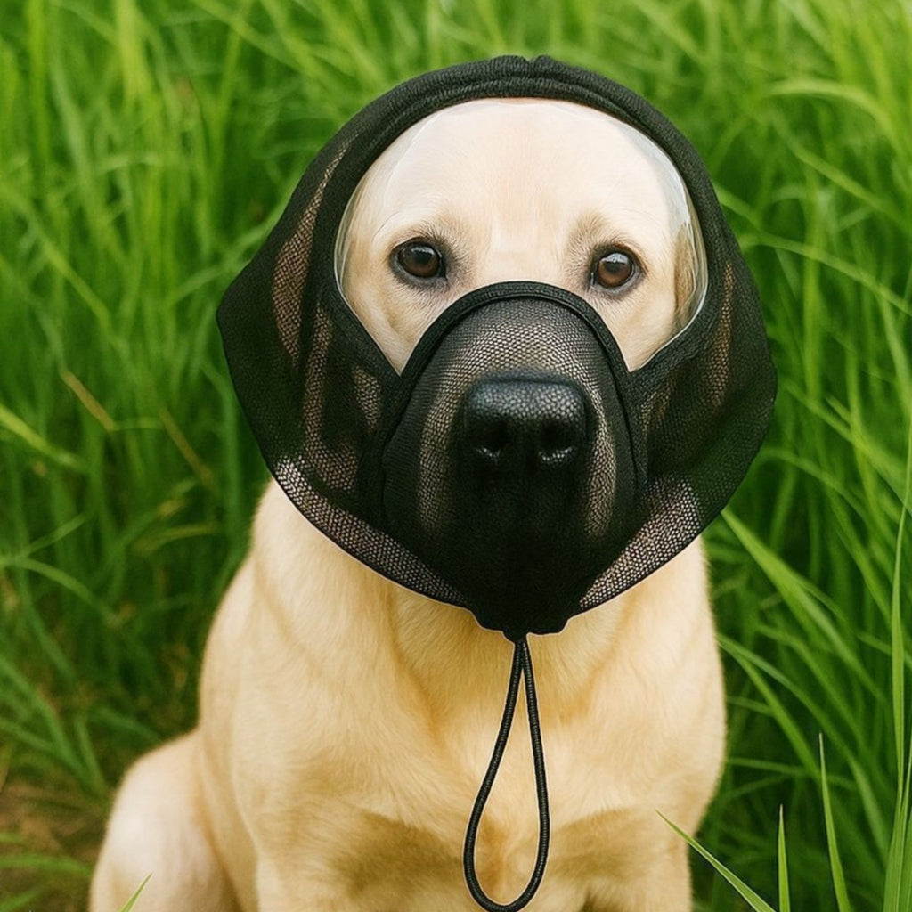 Anti-Licking Dog Head Cover Adjustable Drawstring Pet Supply for Outdoor Walks