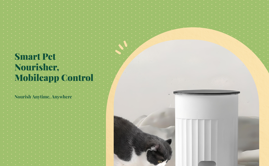 App-controlled timed cat feeder