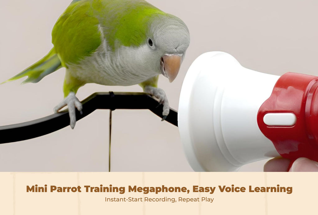 Parrot Trainer: Audio Recorder Speaker