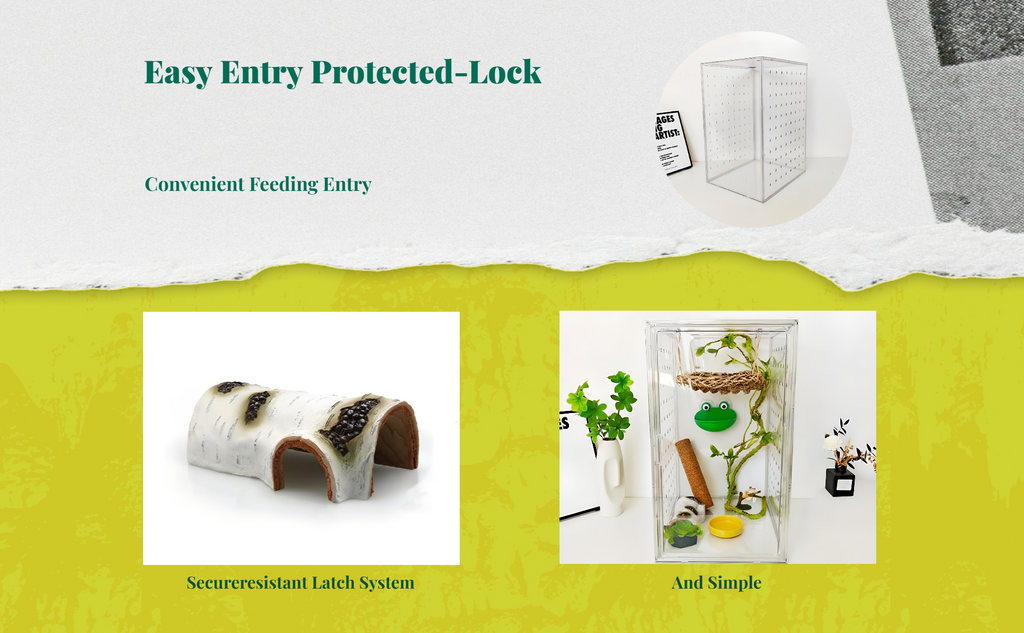 Ventilated acrylic terrarium for amphibians