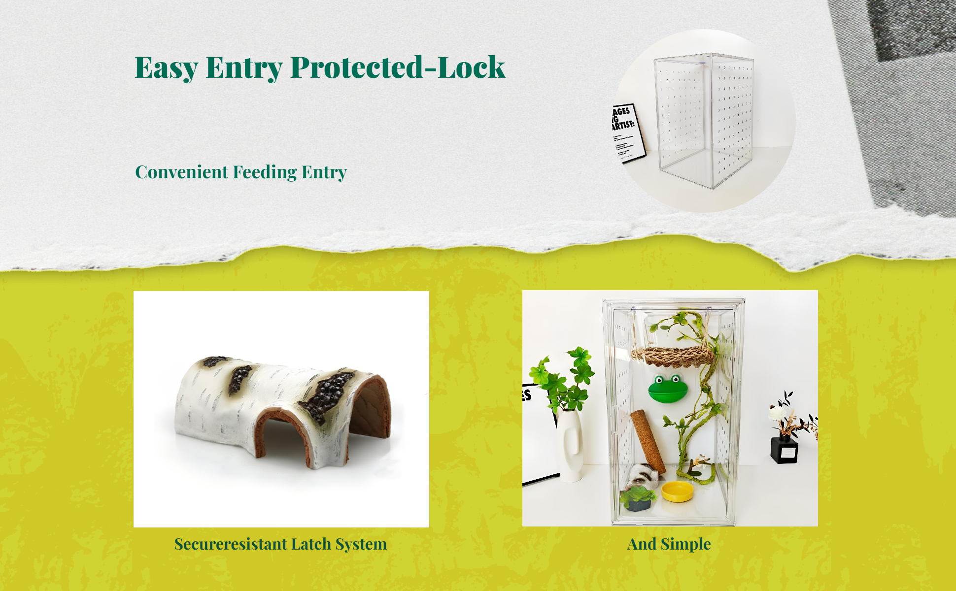 Ventilated acrylic terrarium for amphibians
