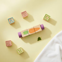 Rotating Block Brainteaser Hand-Eye Coordination Wooden Picture Matching Toy