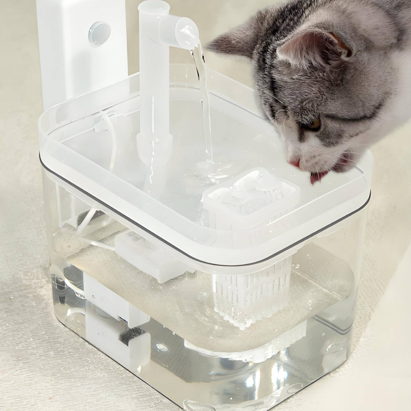 Circulating Feline Water Dispenser Ultra-Quiet Pump for Cats