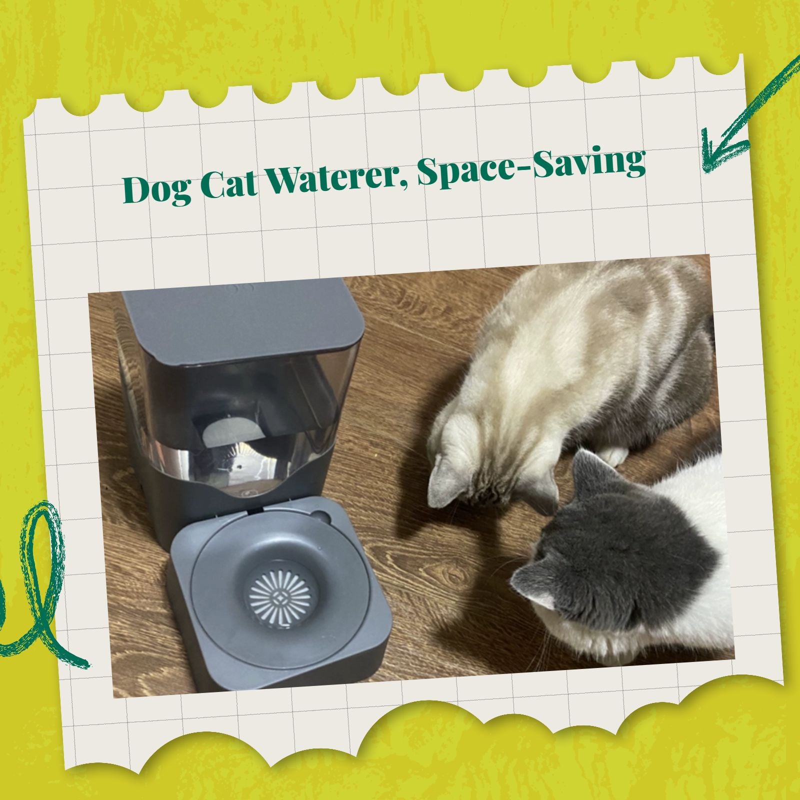 Pressure-fed pet water bowl, no power