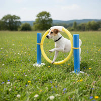 Dog Agility Training Set Blue and Yellow Pet Sports Round Bases