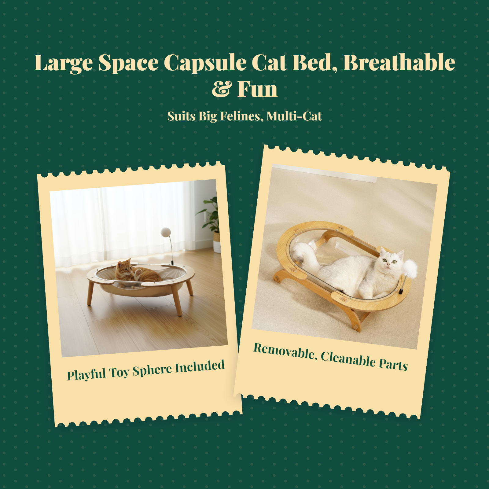 Wooden cat bed with acrylic window