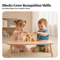 Rounded Edges Wooden Shape Matching Toy Wooden Shape Matching Board Compact