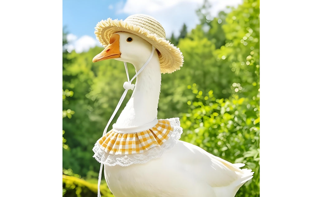 Pet Hat Set Wide Brim Woven Straw Collar Decorative