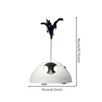 Coil Rod Feline Toy Circular Openings Suction Feline Toy